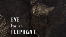 Natural World - Episode 3 - Eye for an Elephant