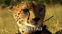 Natural World - Episode 11 - Toki's Tale