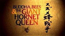 Natural World - Episode 8 - Buddha, Bees And The Giant Hornet Queen