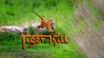 Natural World - Episode 4 - Tiger Kill