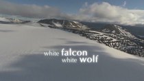 Natural World - Episode 5 - White Falcon, White Wolf