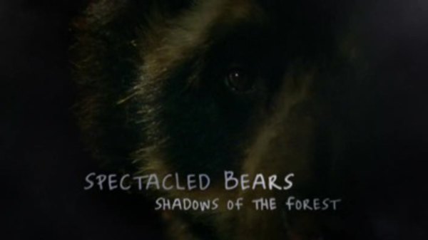 Natural World - S26E14 - Spectacled Bears - Shadows Of The Forest
