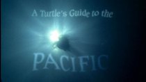 Natural World - Episode 16 - A Turtle's Guide to the Pacific