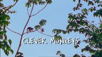 Natural World - Episode 3 - Clever Monkeys
