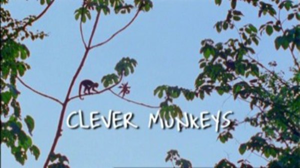 Natural World - S27E03 - Clever Monkeys