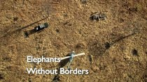 Natural World - Episode 11 - Elephants without Borders