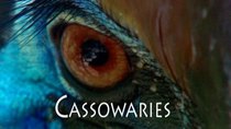 Natural World - Episode 13 - Cassowaries