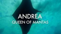 Natural World - Episode 3 - Andrea - Queen Of Mantas