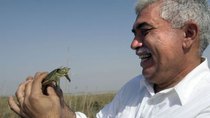 Natural World - Episode 9 - Miracle in the Marshes of Iraq