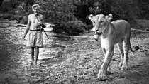 Natural World - Episode 10 - Elsa: The Lioness that Changed the World