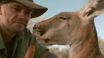 Natural World - Episode 8 - Kangaroo Dundee (2)