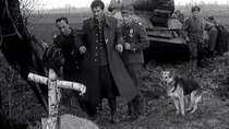 Four Men and a Dog – In a Tank - Episode 7 - Rozstajne drogi