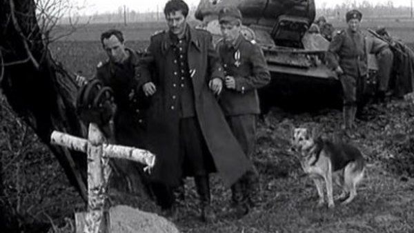 Four Men and a Dog – In a Tank - S01E07 - Rozstajne drogi