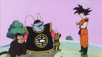 Dragon Ball Z - Episode 21 - Counting Down