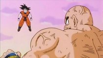 Dragon Ball Z - Episode 29 - Lesson Number One