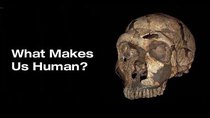 NOVA scienceNOW - Episode 1 - What Makes Us Human?
