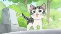 Chii's Sweet Home - Episode 18 - Chii Takes A Walk.
