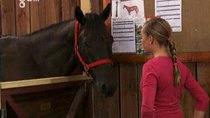 The Saddle Club - Episode 14 - Lisa's Choice (2)