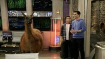 Lab Rats - Episode 19 - Llama Drama