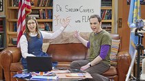 The Big Bang Theory - Episode 15 - The Valentino Submergence