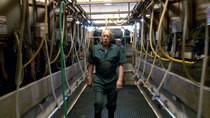 The Incredible Dr Pol - Episode 2 - Dairy Queens