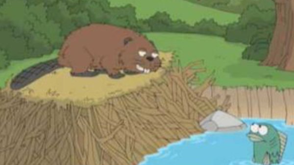 Seth MacFarlane's Cavalcade of Cartoon Comedy - S01E21 - Beavers: Assholes of the Forest