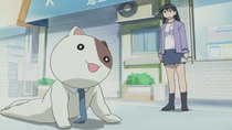 Azumanga Daiou The Animation - Episode 9 - If I Can't Pet One... / 11 Years Old / Mr. Kitty Cat... / Premise...
