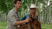 Heartland (CA) - Episode 9 - Great Expectations