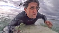 Casey Neistat Vlog - Episode 79 - Surfing with GREAT WHITE SHARKS