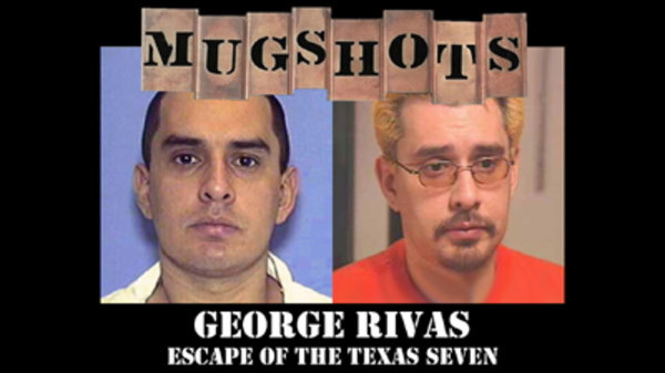 Mugshots Season 1 Episode 11