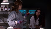 Rizzoli & Isles - Episode 5 - Don't Hate the Player