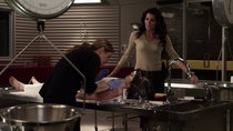 Rizzoli & Isles - Episode 6 - I Kissed a Girl