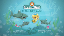 Octonauts - Episode 11 - The Baby Gator