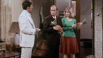 The Bob Newhart Show - Episode 10 - Seemed Like a Good Idea at the Time