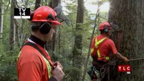Heli-Loggers - Episode 4 - Heavy Lifting Required