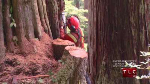 Heli-Loggers - S01E07 - Big Wood, Big Finish