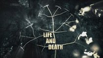 Darwin's Dangerous Idea - Episode 3 - Life and Death