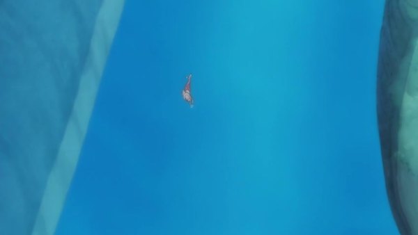 One Piece Episode 564 info and links where to watch