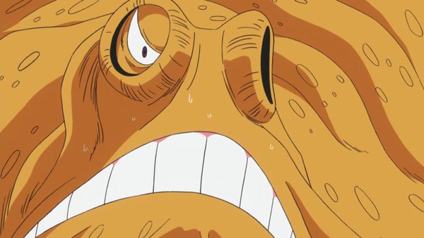 One Piece Episode 557 info and links where to watch