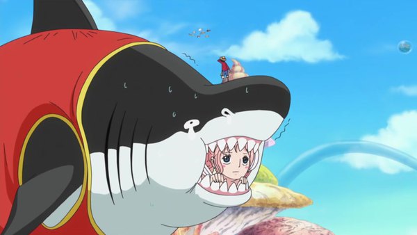 One Piece Episode 535 - Watch One Piece E535 Online