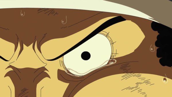 One Piece Episode 507 info and links where to watch