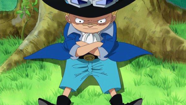 One Piece Episode 496 info and links where to watch