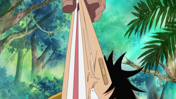 One Piece Episode 494 info and links where to watch