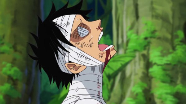 One Piece Episode 490 info and links where to watch