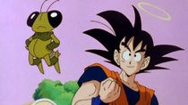 Dragon Ball Kai - Episode 7 - The Battle with Ten-Times Gravity! Goku's Race Against the Clock!