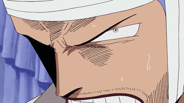 Screenshots of One Piece Episode 242