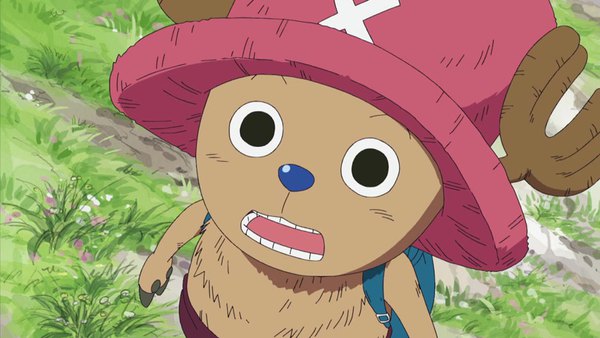 One Piece Episode 224 info and links where to watch