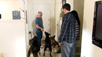 Cesar 911/ Cesar To The Rescue - Episode 4 - Three Headed Monster