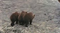 Marty Stouffer's Wild America - Episode 5 - Time of the Grizzly