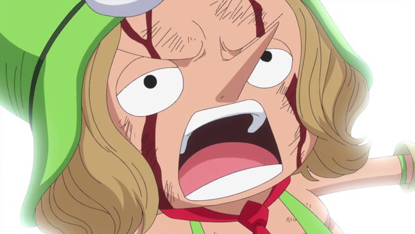 One Piece Episode 734 - Watch One Piece E734 Online